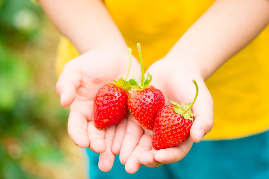 牧之原市でインスタ映え抜群の観光スポット。新名産を目指すブドウの果物狩りができる『タイラファーム』